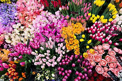 托尼霍克加吸血鬼幸存者 动作射击肉鸽游戏《末日摩托》现已开放试玩Demo