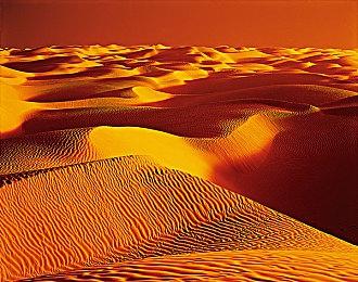 《星空》Xbox“你来太早了”报错 微软垦请玩家耐心